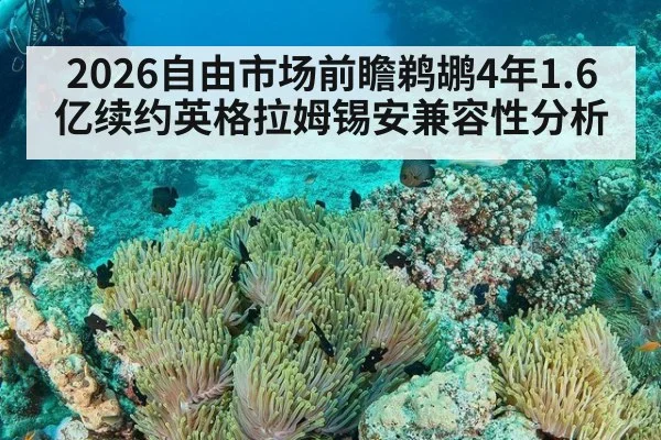 2026自由市场前瞻鹈鹕4年1.6亿续约英格拉姆锡安兼容性分析（jiuyou game）